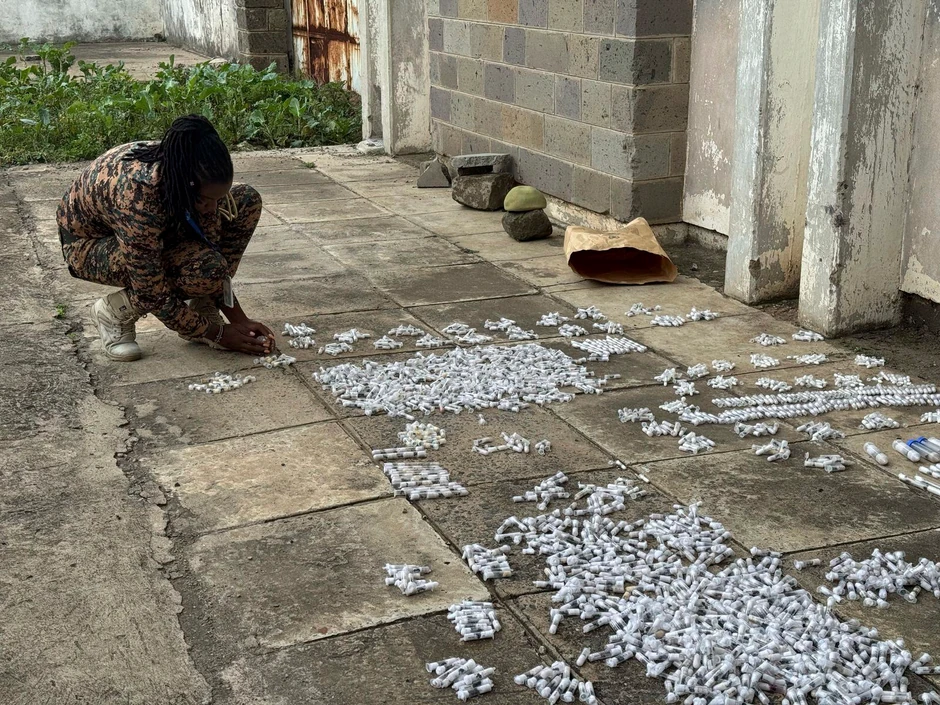 Zaplenjeni mravi u Keniji