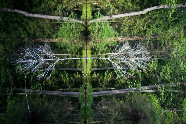 land art, sztuka, instalacje, natura, biała podlaska