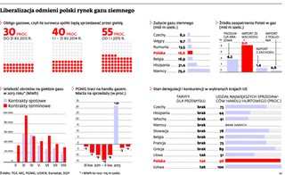 Gaz w Polsce będzie tanieć. Jednak na razie głównie ten dla przemysłu