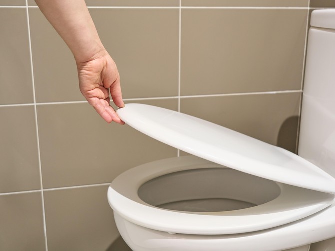 WC šolja