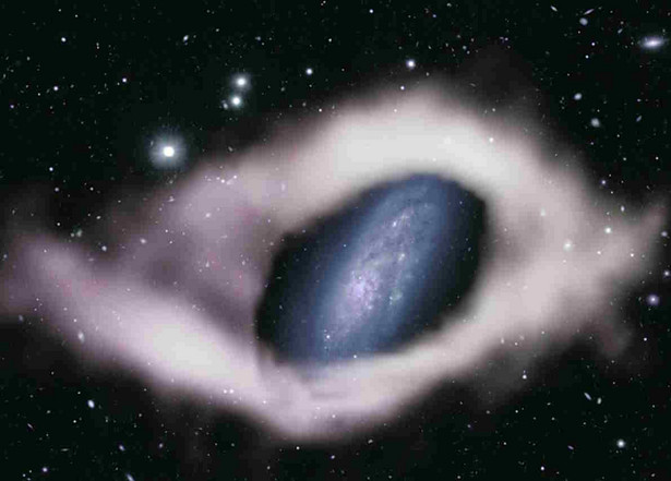 Niezwykła galaktyka odkrywa tajemnice. Astronomowie dostrzegli to dopiero teraz / fot. J. English (U.Manitoba), with support of T. Jarrett (UCT) and the WALLABY team: ATNF/ASKAP:Suburu/Hyper Suprime Camera