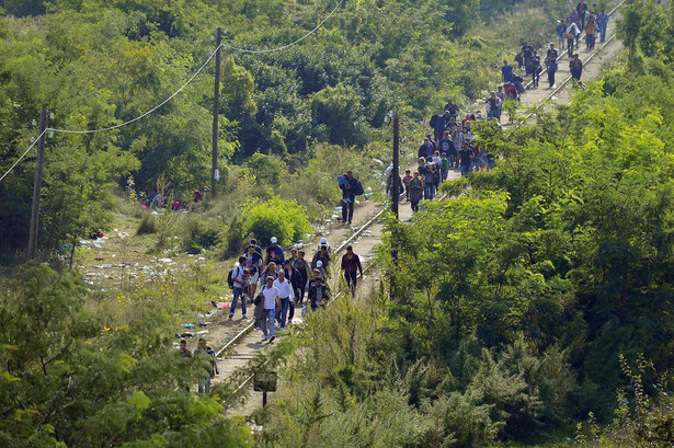 BBN ostrzega: Strefa Schengen może być zagrożona