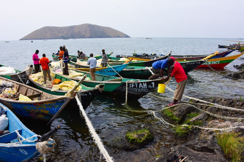 Migingo