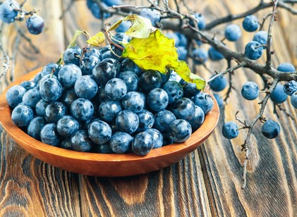 A természet rejtett kincse: ezért érdemes ősszel kökényt fogyasztani című cikk nyitóképe