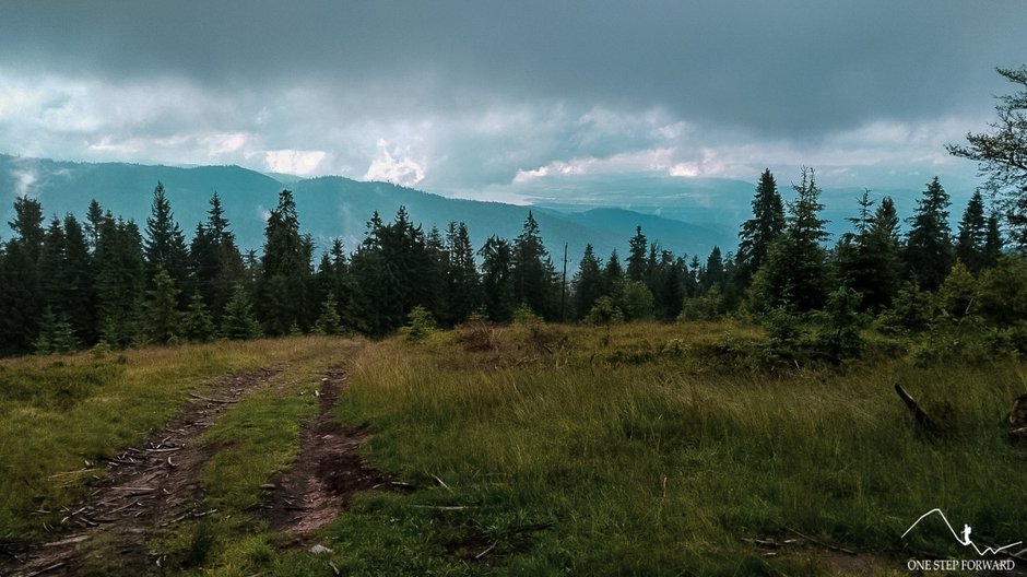 Może gdzieś tam Tatry są?