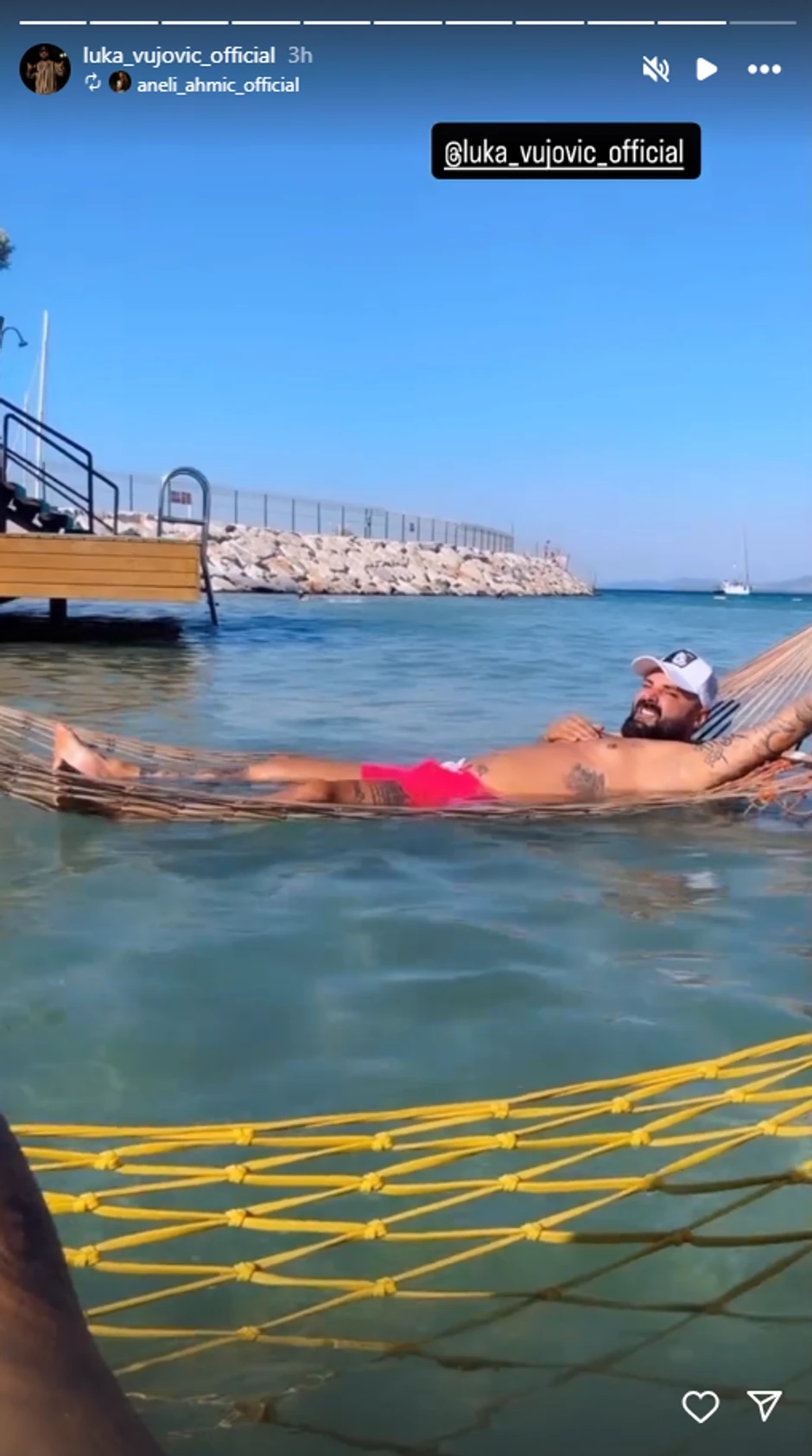 Luka Vujović, objava