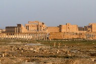 Palmyra