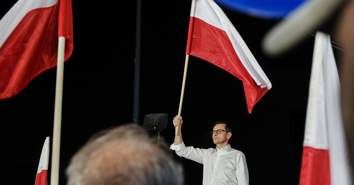  Brzydkie kaczątko, łabędź bez trybu. Co się stało z Mateuszem Morawieckim? FELIETON