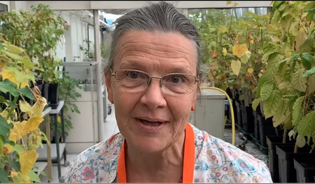 Screenshot 2020-06-26 24 06 2020 - 32 000 Jahre alte Pflanze erstmals an der BOKU zum Blühen gebracht Stabsstelle Öffentlic[]