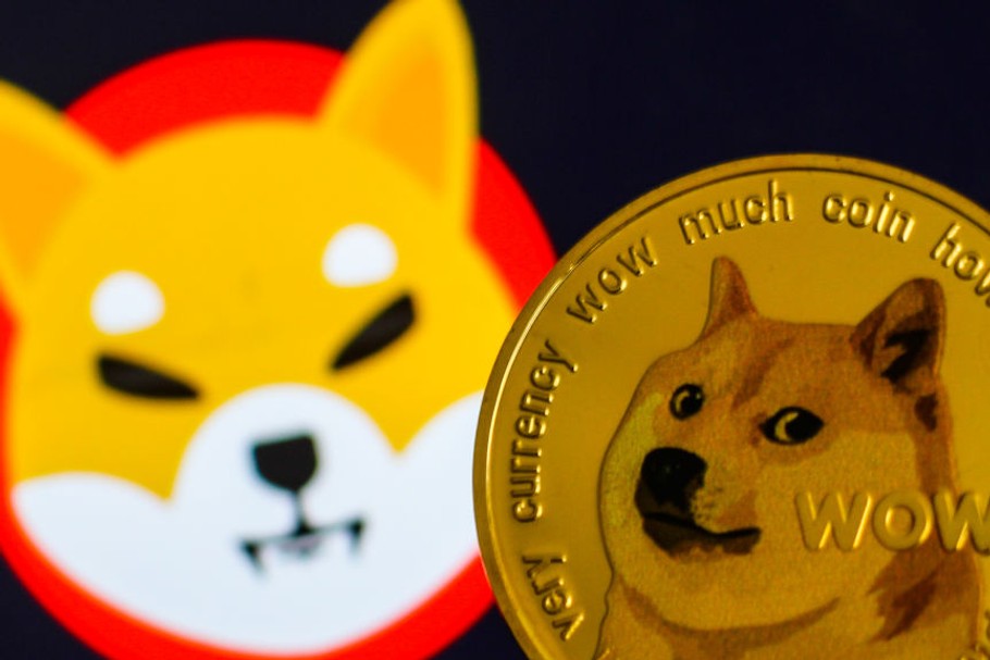 Meme coin o nazwie dogecoin stworzony w 2013 r. jako żart. Jego „twarzą” jest pies rasy shiba, znany właśnie z memów. 25 czerwca br. Elon Musk napisał na Twitterze: „My Shiba Inu will be named Floki”. Żadne organy regulacyjne nie będą raczej w stanie udowodnić mu, że w ten sposób sugerował ludziom z branży krypto, aby zainwestowali w token o nazwie Floki Inu