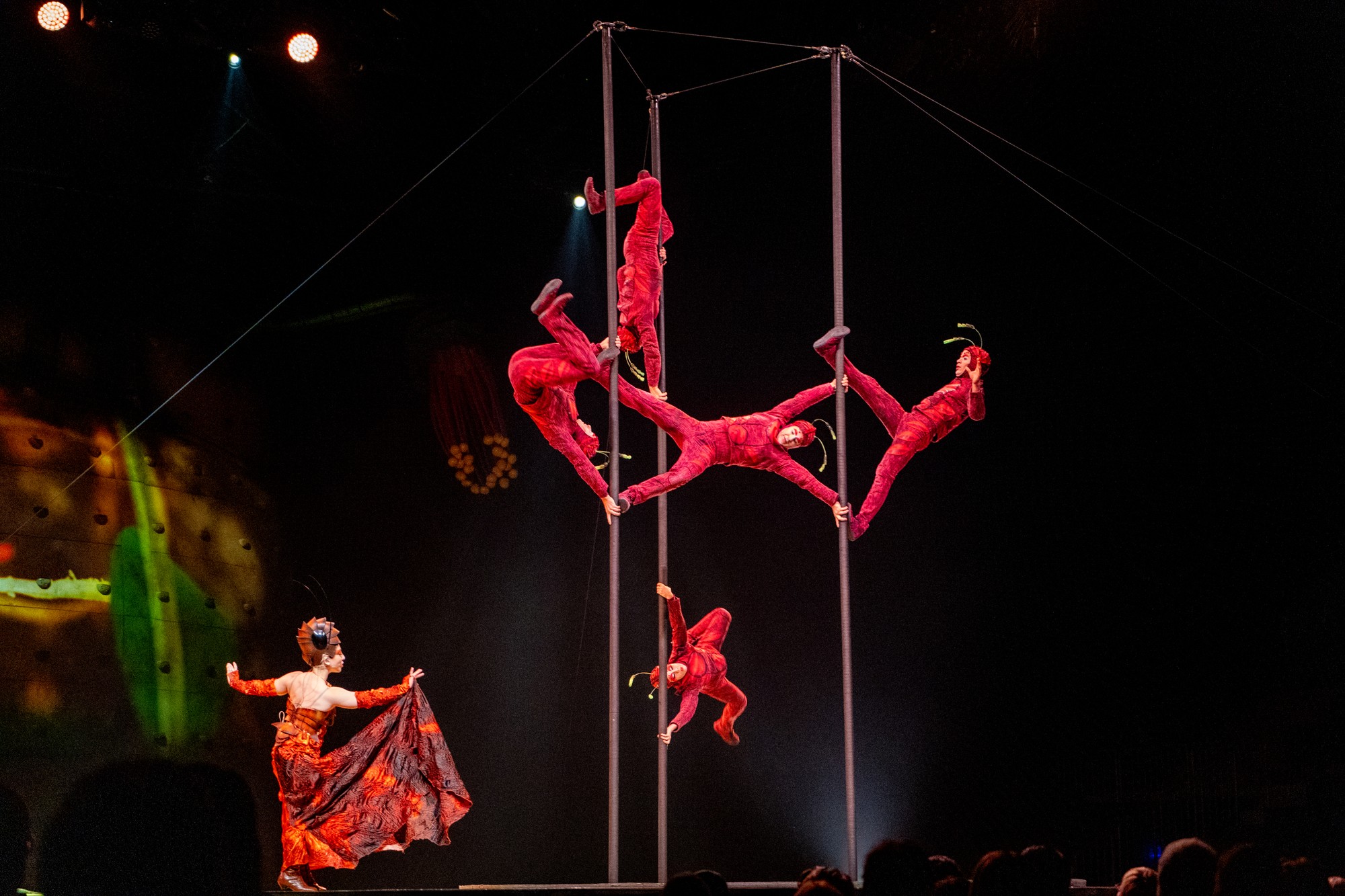 Cirque du Soleil