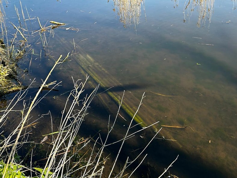 Rury, którymi mężczyźni strącali gniazda