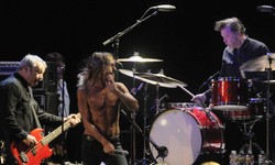 The Stooges w żałobie. Nie żyje założyciel kultowej grupy