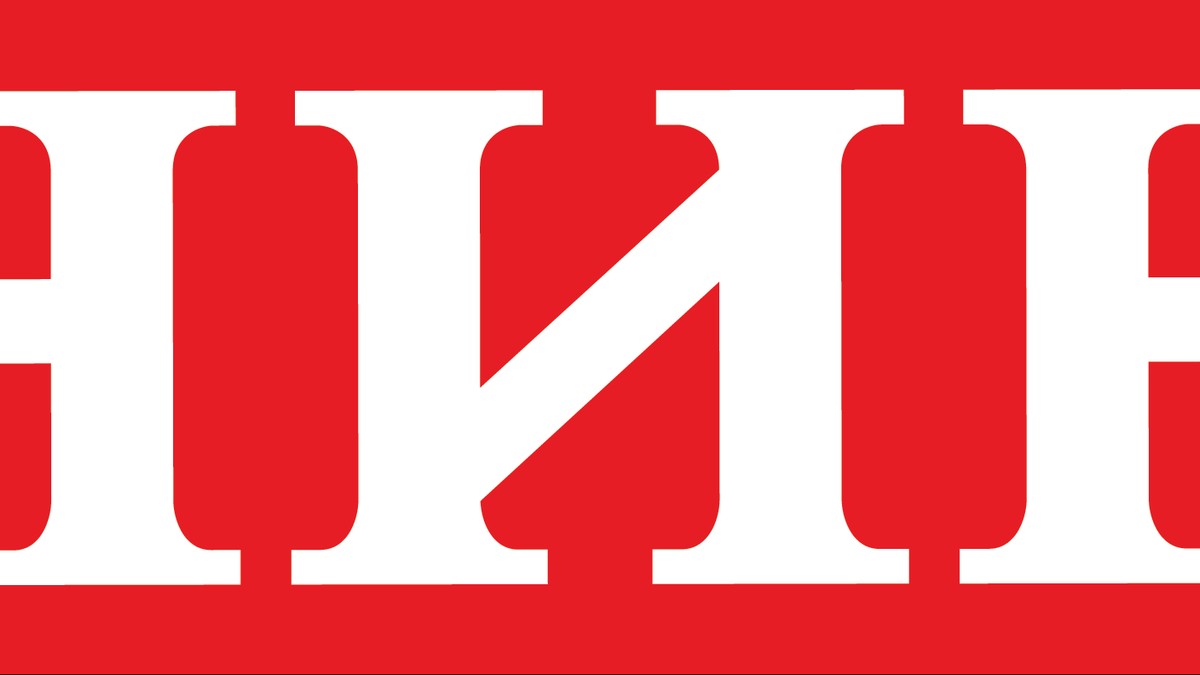 NIN logo