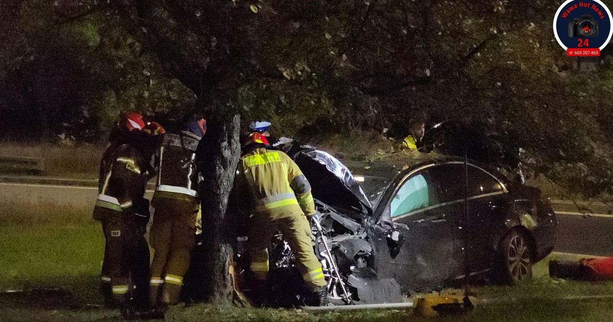 Nocny wypadek w Warszawie. Rozbity mercedes, psy w aucie i mężczyzna w kajdankach