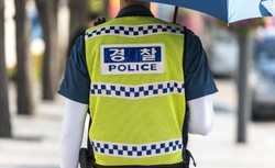 Zakaz sprzedaży psiny w Korei Płd.? Stowarzyszenie Jadalnych Psów protestuje