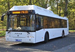 394061_autobus1