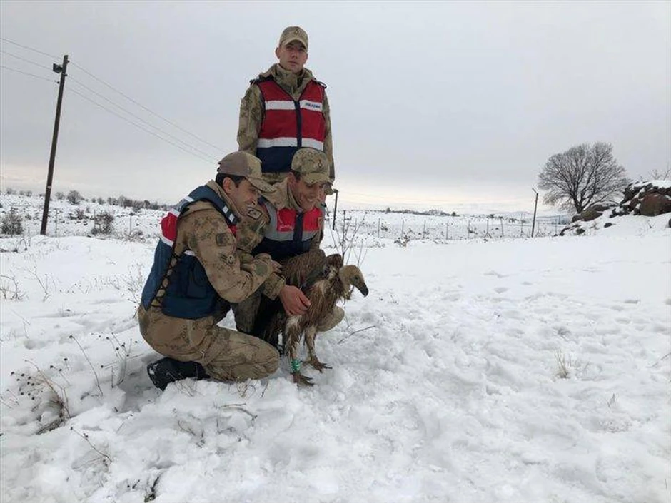 Dobrila sa turskim graničarima