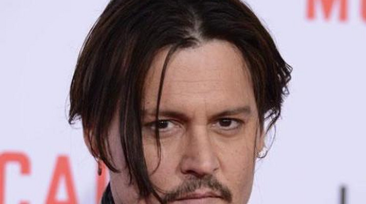 Megmenekültek a halálos ítélettől Johnny Depp kutyái