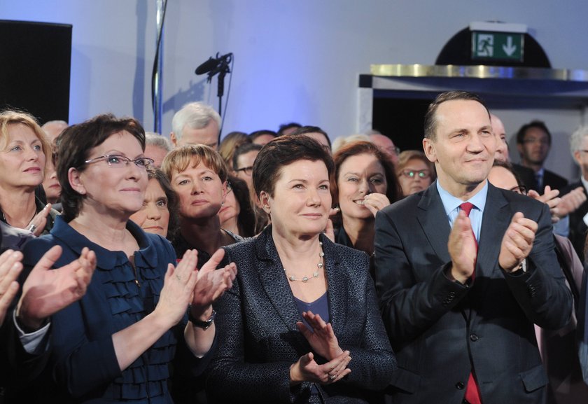 Wybory samorządowe 2014