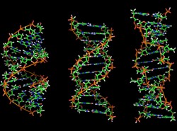 Za kilka lat każdy pozna swój genom