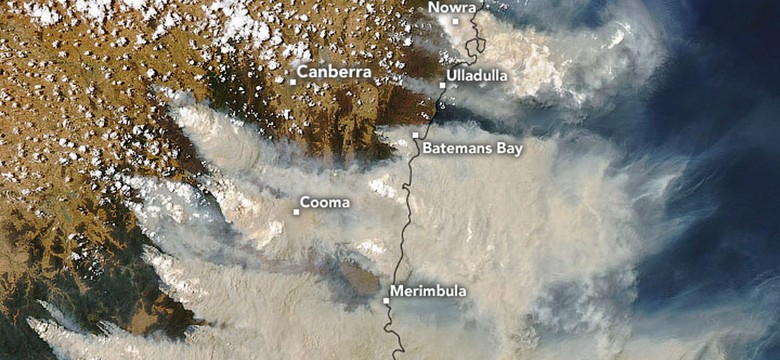 Australia w ogniu. Czy faktycznie zbliża się koniec świata? [KOMENTARZ]