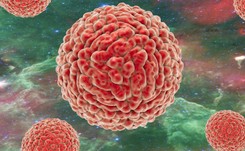 Wirus Zika spowoduje kolejną pandemię?