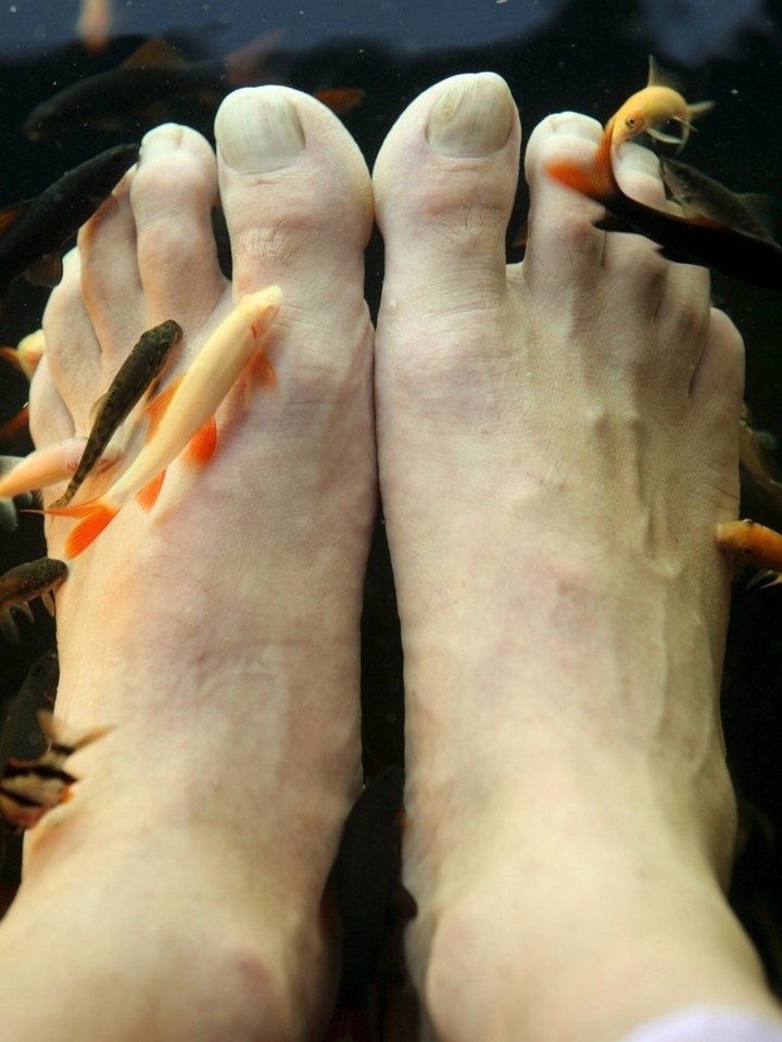 THAILAND FISH FOOT SPA