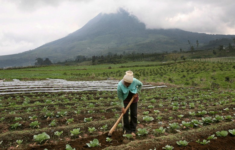 Wybuchł wulkan na Sumatrze