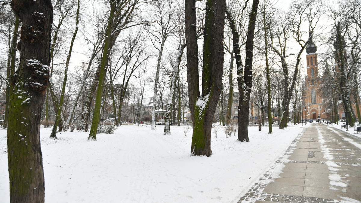 Nawałnica na Mazowszu. Ponad 8 tys. gospodarstw bez prądu