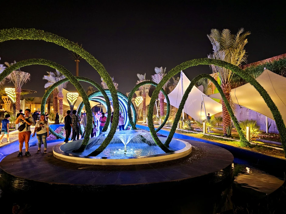 Svi projekti koji se tiču Holtikulture u Saudijskoj Arabiji su uključeni, ozelenjavanje i sadnja preko milion stabala drveća svake godine, kaže Dragan Mitrović