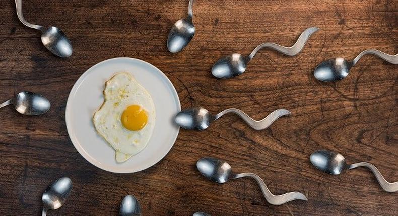 5 food that boosts your sperm count and semen volume