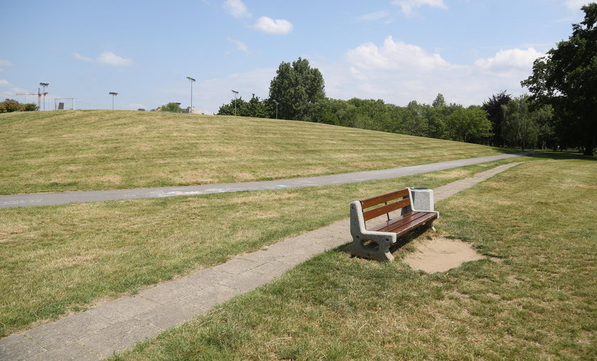 Wśród mieszkańców wybuchł spór o to, czy je kosić, czy też nie