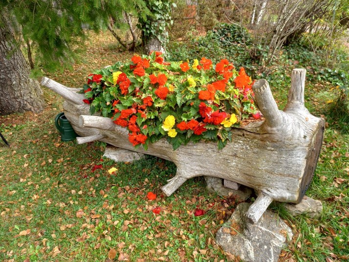 Donica z pnia drzewa - trend 2026