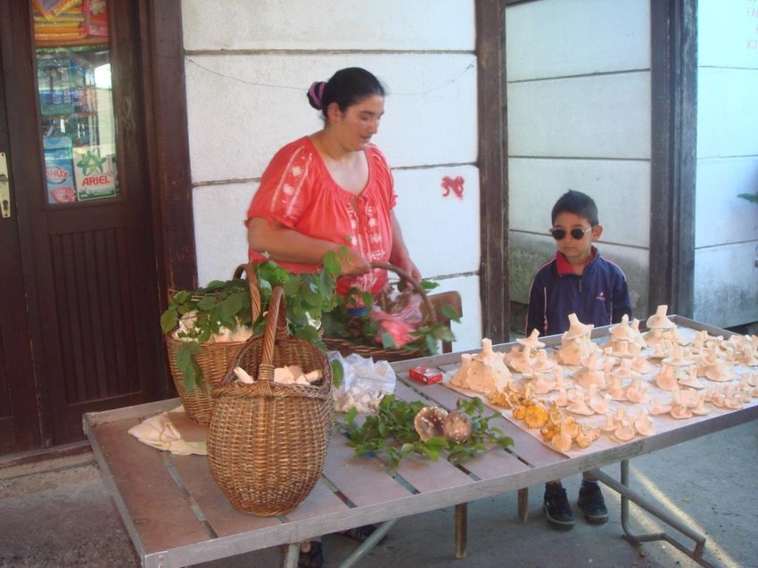 Za prodaju gljiva na pijacama praktično nije nadležna nijedna inspekcija