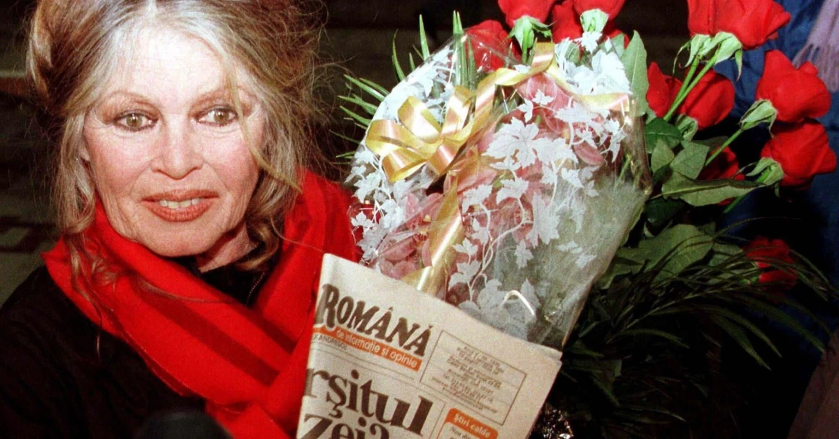 Brigitte Bardot nie żyje. "Oddałam mężczyznom urodę i młodość. Oddam mądrość zwierzętom"