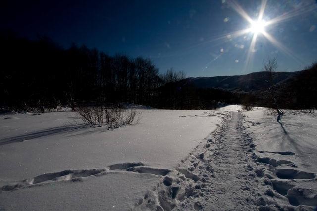 Galeria Polska - Bieszczady w zimowej szacie, obrazek 26