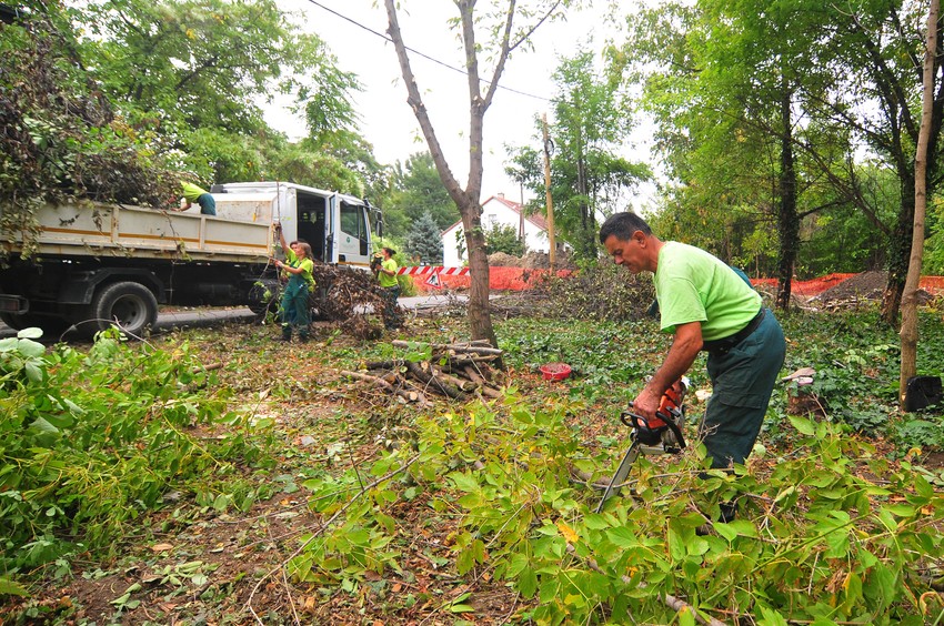 Uređenje zelenih površina