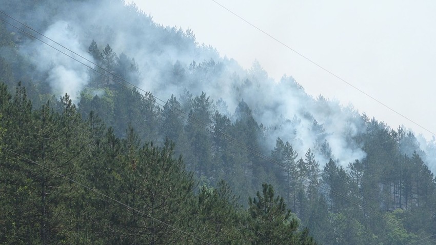 Gori 4 hektara šume i rastinja