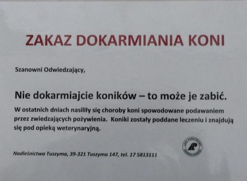 Koniki z Tuszymy potruły się przez turystów!