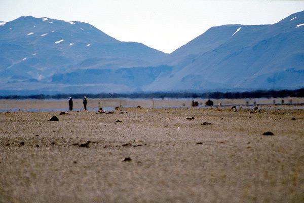 Galeria Islandia, obrazek 21