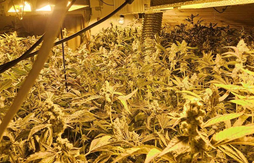 Laboratorija u Čačku