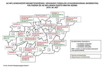 Influenza megbetegedés eloszlása régiók szerint.