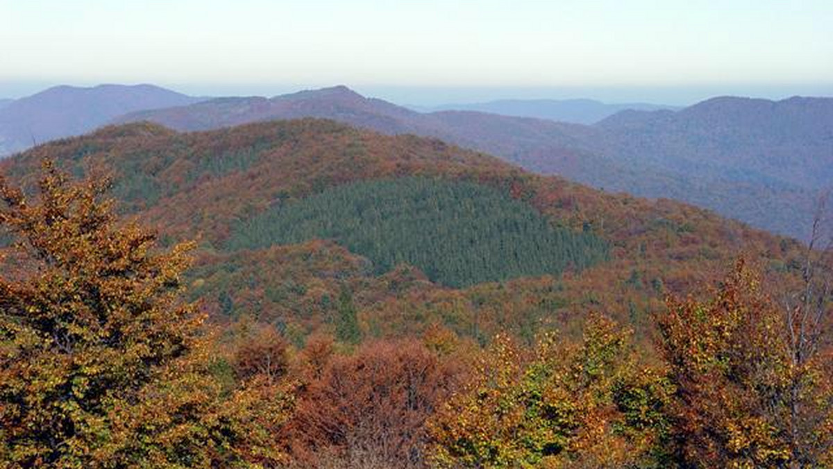 Galeria Polska - Bieszczady, obrazek 1