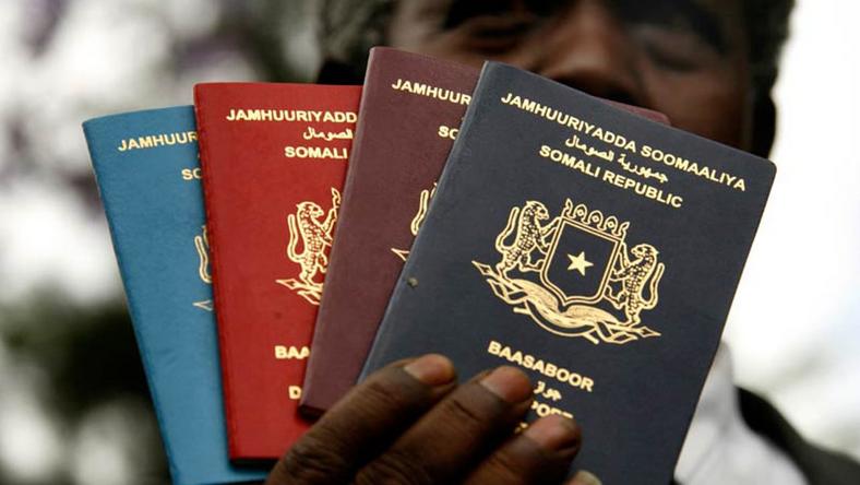 Passport fees of African passports