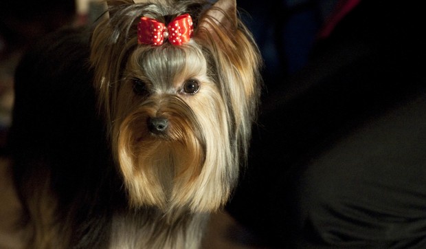 68748_terijer01-afp-don-emmert