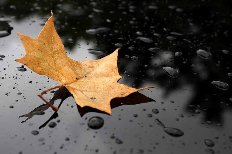 6. 'Rain for Sleep' – Rain Sounds