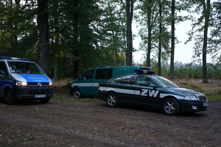 Tragedia w Kuźni Raciborskiej. Nie żyje trzeci saper