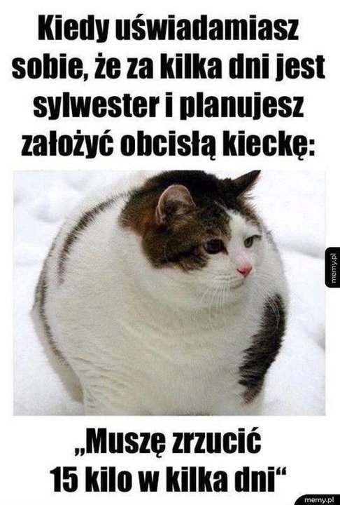 Przywitaj Nowy Rok z humorem — memy o Sylwestrze