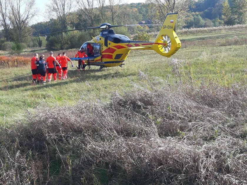 "Zbieraliśmy po całej ulicy szczątki jego ręki". Horror w Słubicach